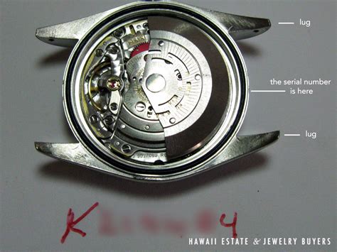 rolex serial number and model|rolex serial number engraving.